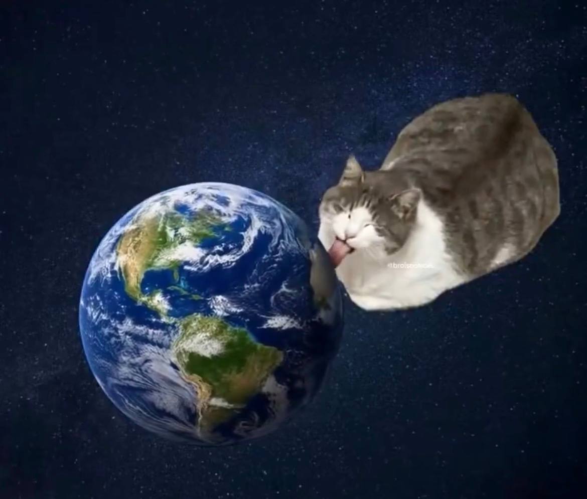 world licking cat token art